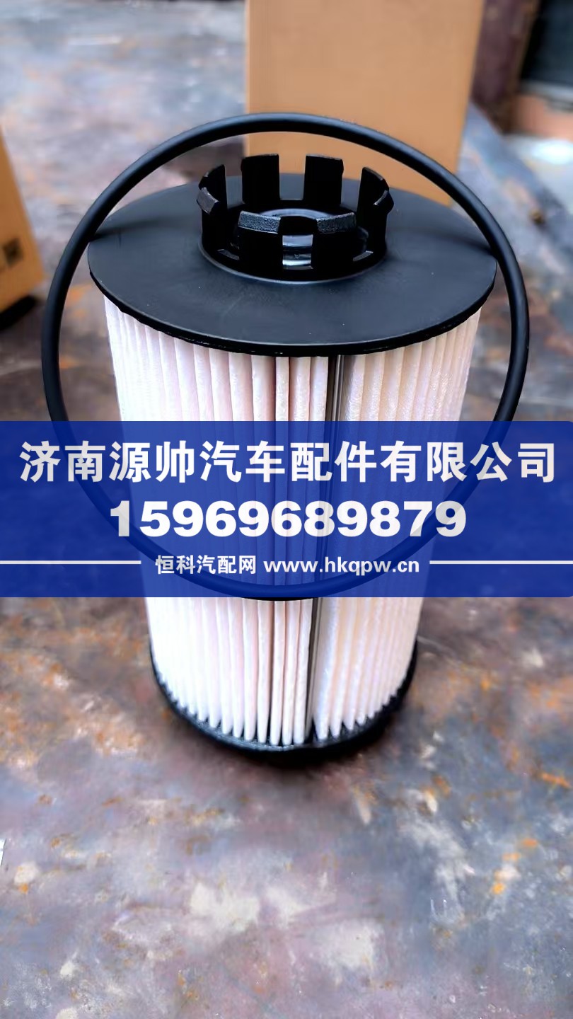 201V12503-0062,重汽曼燃油滤清器芯  带O型圈,济南源帅汽车配件有限公司