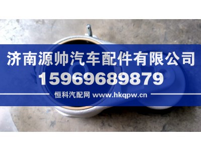 1001319530D,潍柴张紧轮,济南源帅汽车配件有限公司