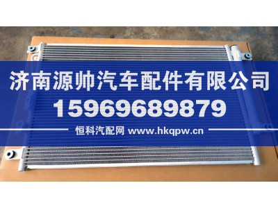 81WLAM111-050,徐工冷凝器总成,济南源帅汽车配件有限公司