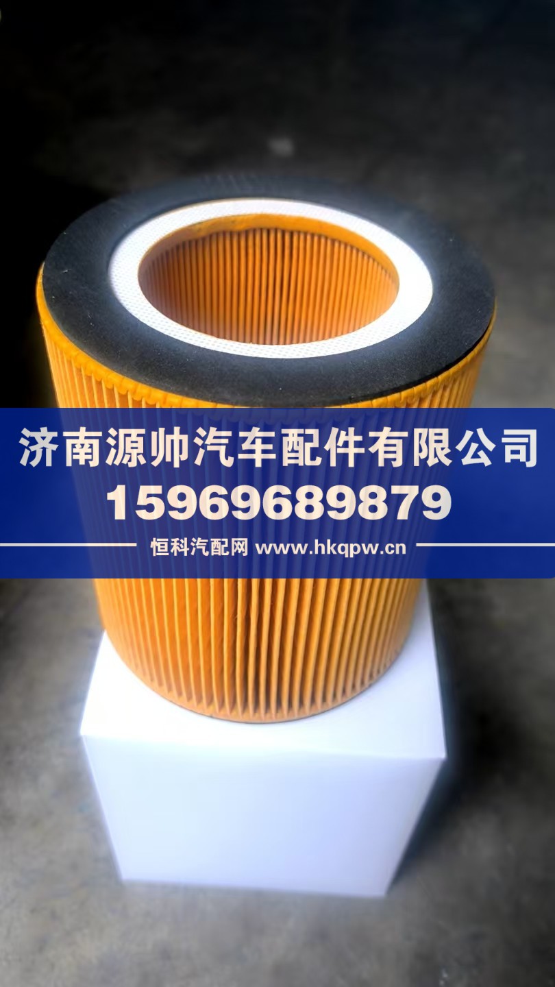 C1250-W5106040,新能源空压机滤芯,济南源帅汽车配件有限公司