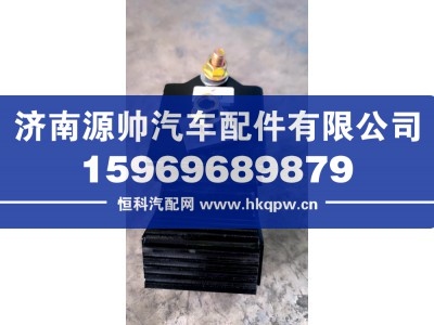 WG9725590630,TX发动机前支撑内芯,济南源帅汽车配件有限公司