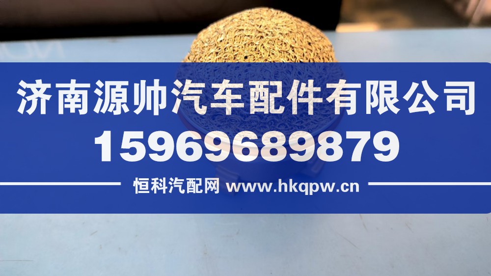 WG15300830120,福伊特浮球阀,济南源帅汽车配件有限公司