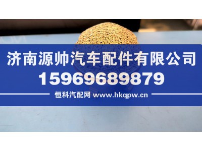 WG15300830120,福伊特浮球阀,济南源帅汽车配件有限公司