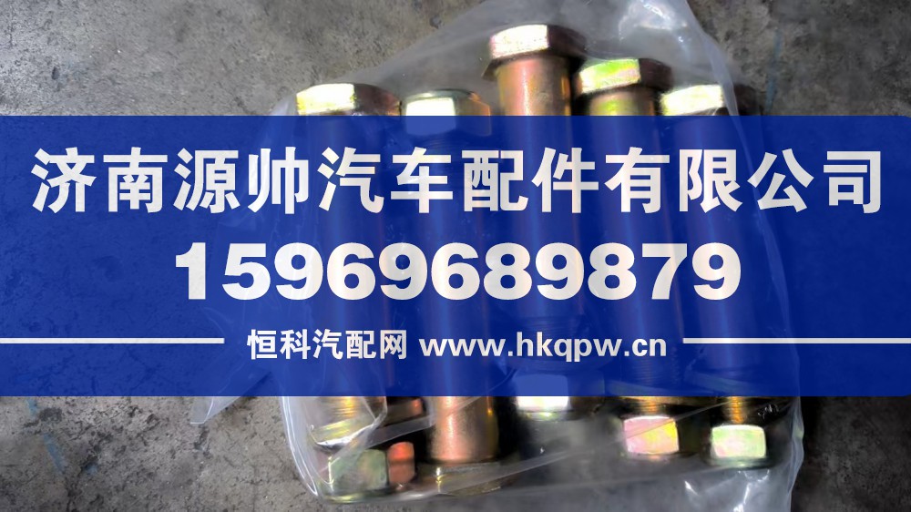 豪沃前稳定杆螺丝20-90    WG9725520310