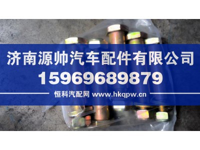 WG9725520310,豪沃前稳定杆螺丝20-90,济南源帅汽车配件有限公司