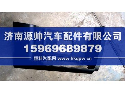 WG1664248116,TX右踏板,济南源帅汽车配件有限公司