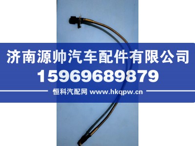 WG97161450176-1,重汽刹车报警线,济南源帅汽车配件有限公司