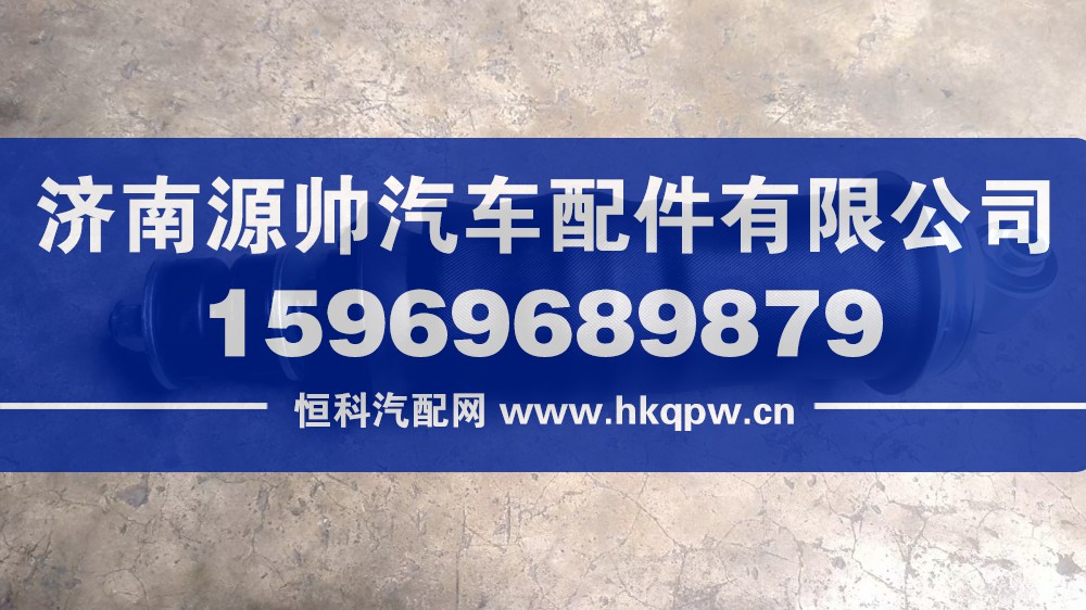 DZ14251430020,X3000前气囊,济南源帅汽车配件有限公司