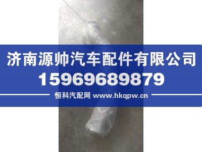 YZ952554005125,德龙MAX排气绕管总成,济南源帅汽车配件有限公司