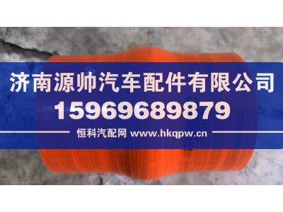 DZ93259535321,德龙硅胶管,济南源帅汽车配件有限公司