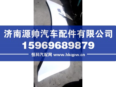 WG1664879021,TH7中间导流罩,济南源帅汽车配件有限公司
