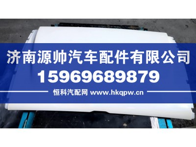 LZ161387000020,轻卡驾驶室导流罩总成,济南源帅汽车配件有限公司