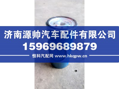 DZ912595590,陕汽滤芯总成,济南源帅汽车配件有限公司