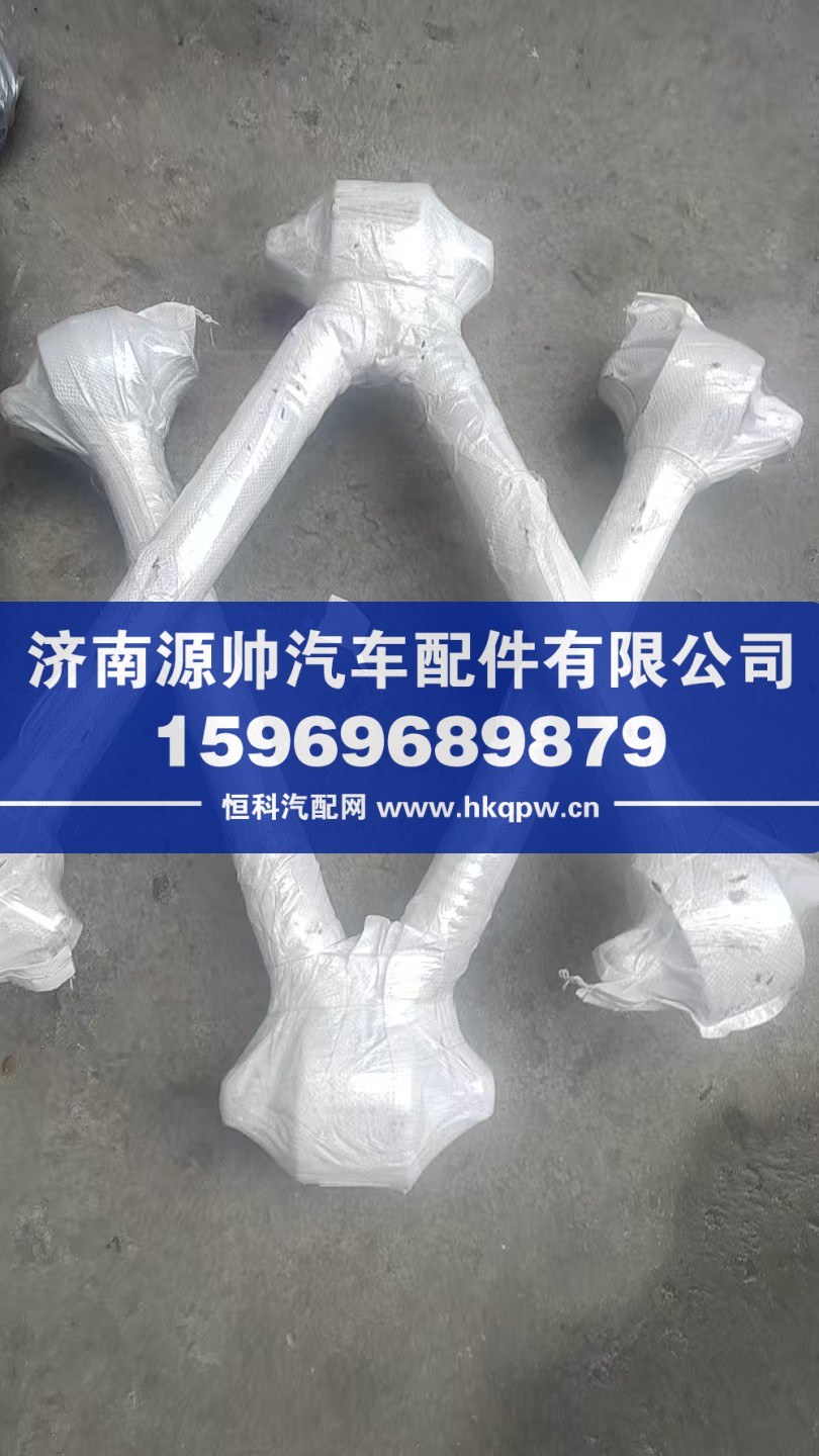 AZ9925522272,汕德卡V型推力杆总成,济南源帅汽车配件有限公司