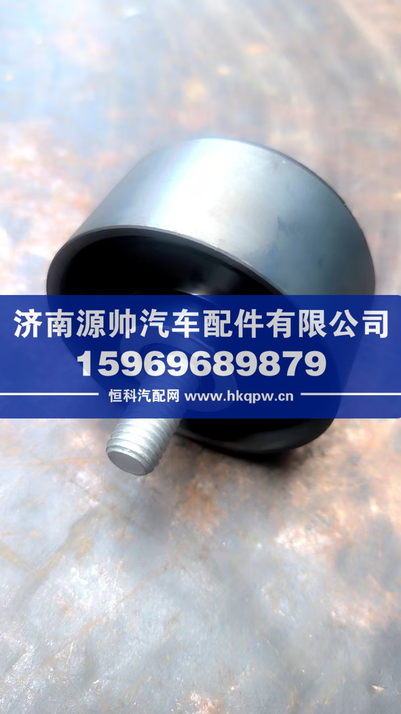 202V95800-6098,重汽曼平惰轮,济南源帅汽车配件有限公司