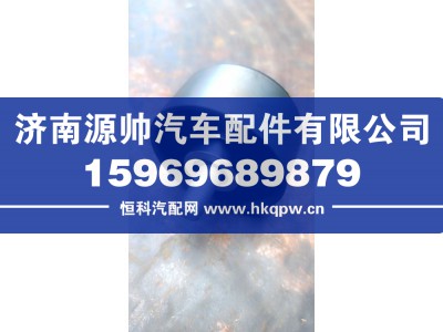 202V95800-6098,重汽曼平惰轮,济南源帅汽车配件有限公司