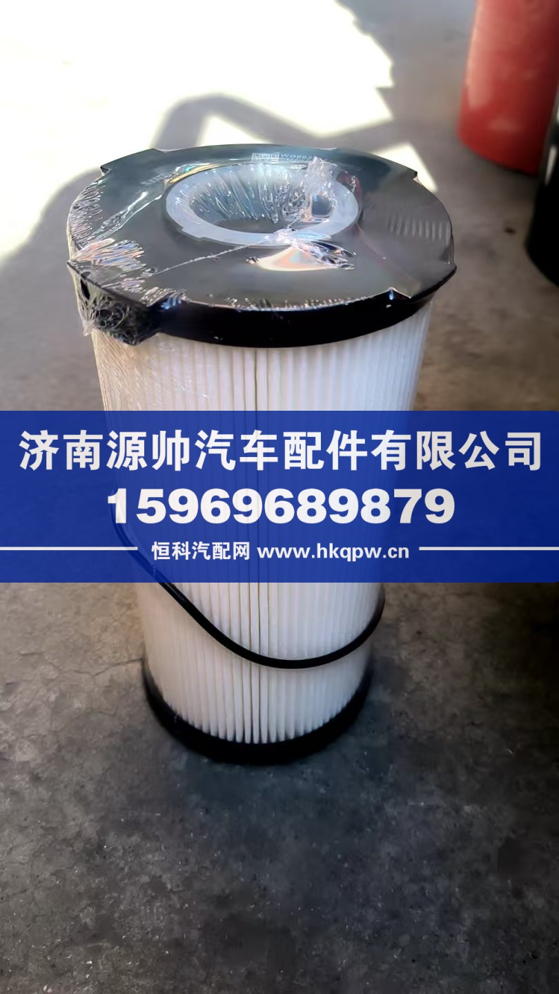 WG9925550966S,重汽国六燃油粗滤器,济南源帅汽车配件有限公司