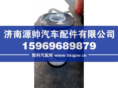 WG9925550966S,重汽国六燃油粗滤器,济南源帅汽车配件有限公司