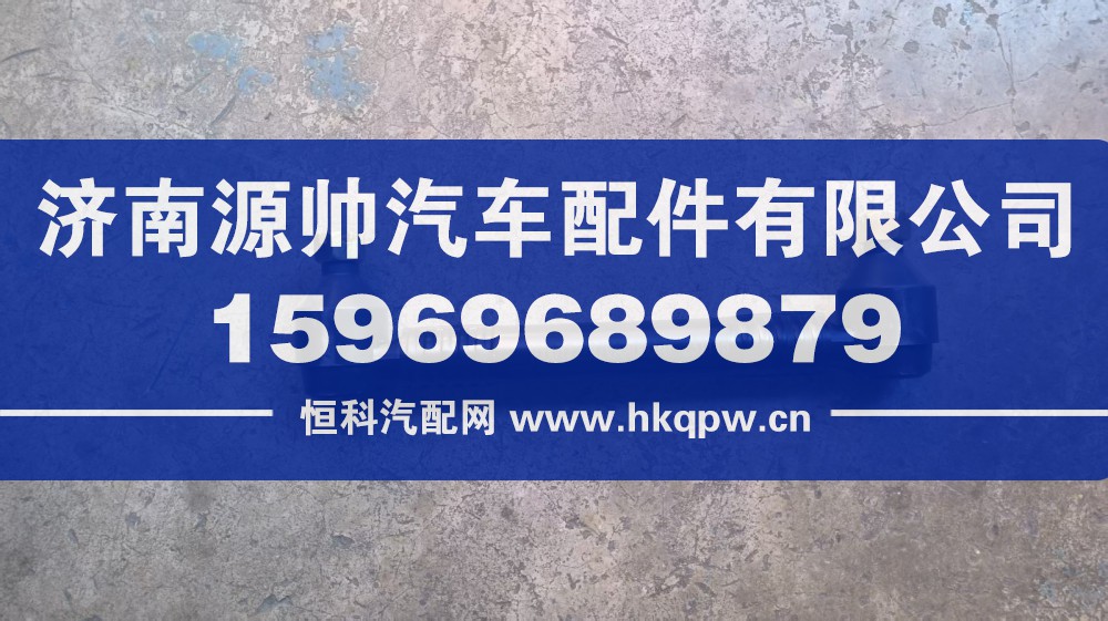 大运前稳定杆吊板总成  292VAA00070