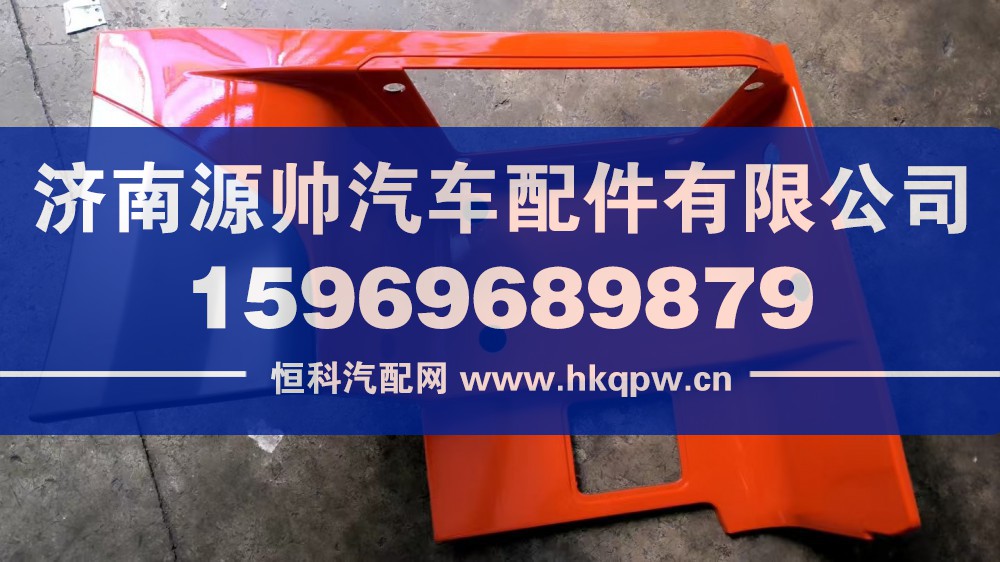WG1671240219,豪瀚高位左踏板护罩,济南源帅汽车配件有限公司