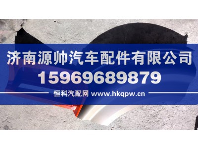 WG1671230203,豪瀚叶子板前段左,济南源帅汽车配件有限公司