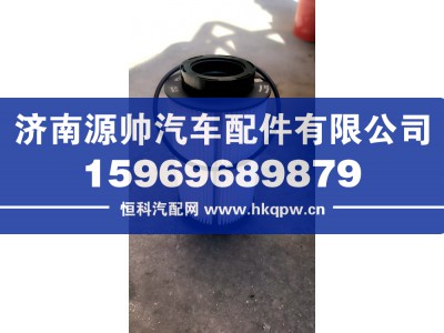 201V12503-0062,重汽燃油滤清器芯  带O型圈,济南源帅汽车配件有限公司
