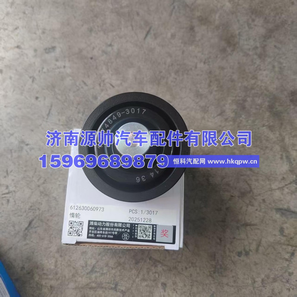 612630060973,潍柴惰轮,济南源帅汽车配件有限公司