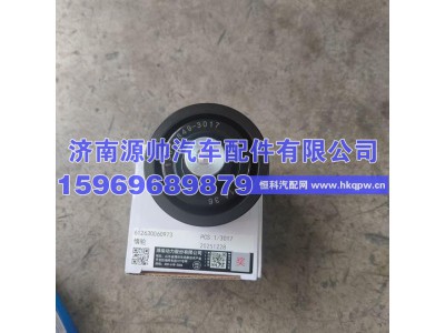 612630060973,潍柴惰轮,济南源帅汽车配件有限公司