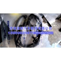 锡柴气缸盖罩盖密封垫1003041-m50