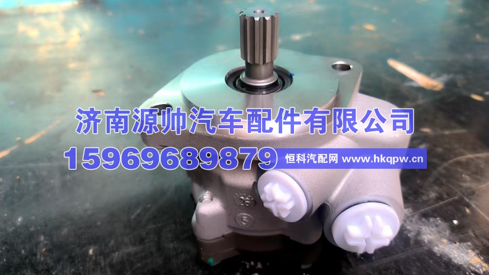 ZYB-0028R，2159WD-8G,新能源 转向助力泵,济南源帅汽车配件有限公司