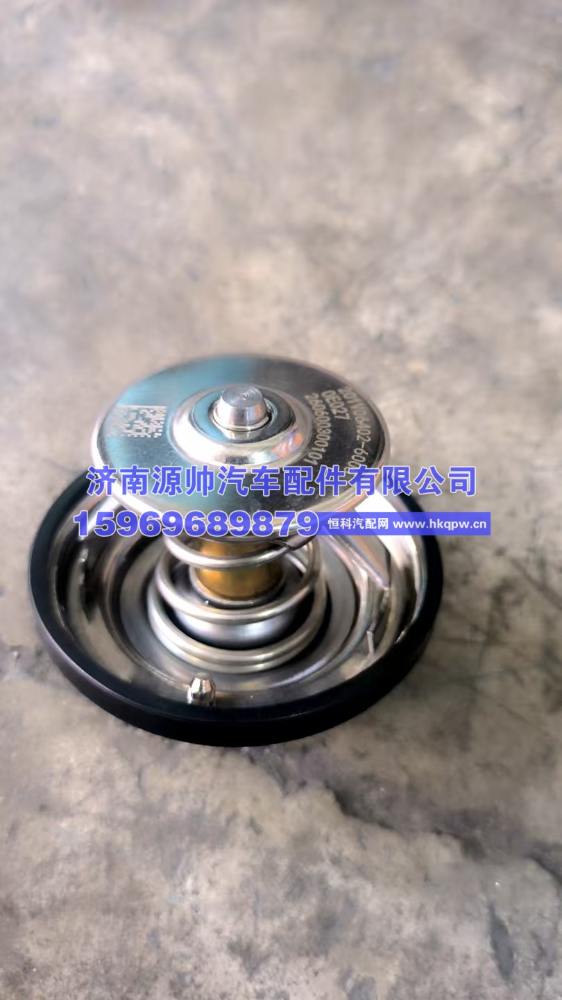 201V06402-6005,重汽节温器,济南源帅汽车配件有限公司