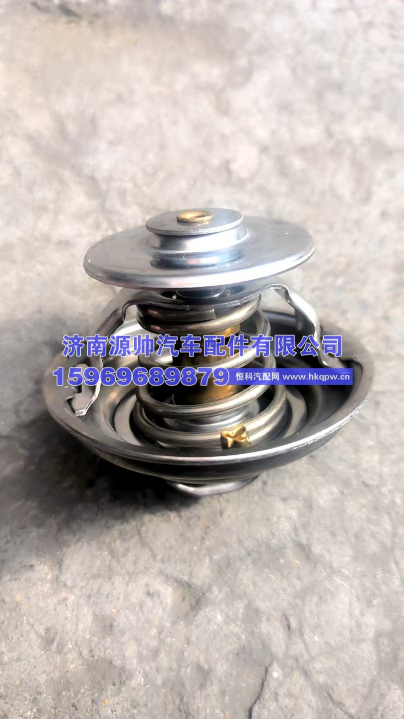 重汽曼节温器芯  Z612630060031