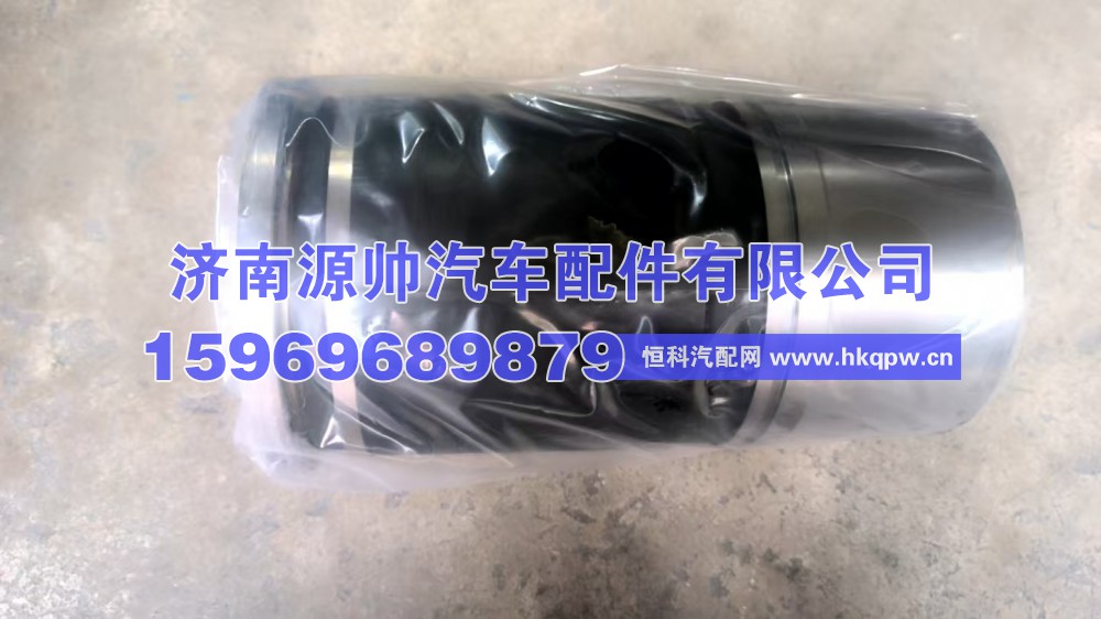 潍柴缸套  1002686743