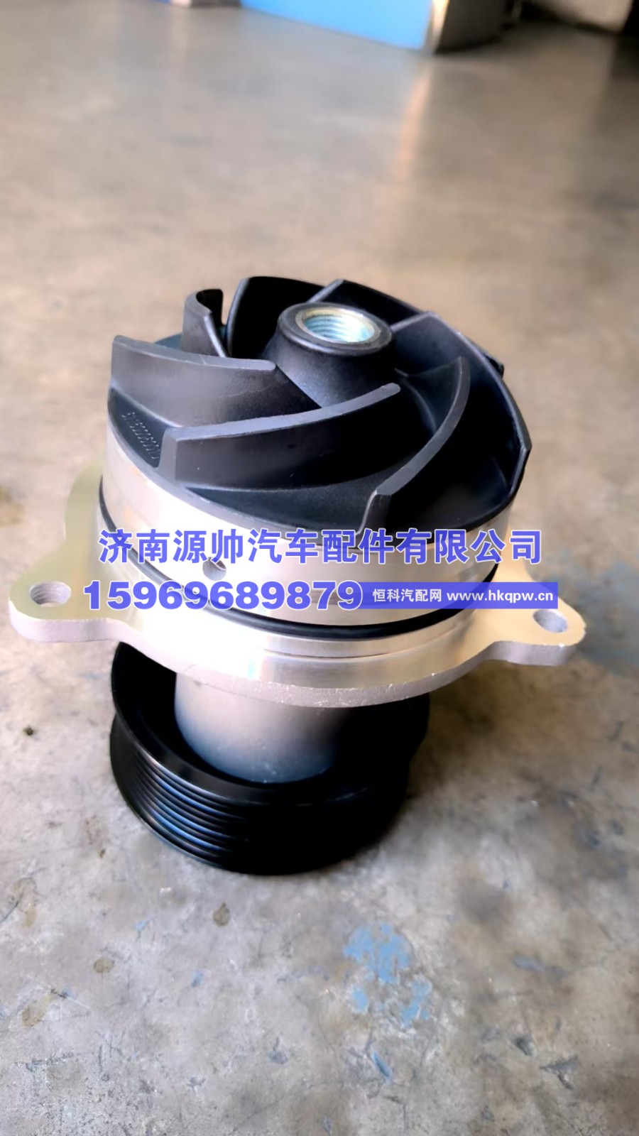 潍柴水泵分总成  1001273037
