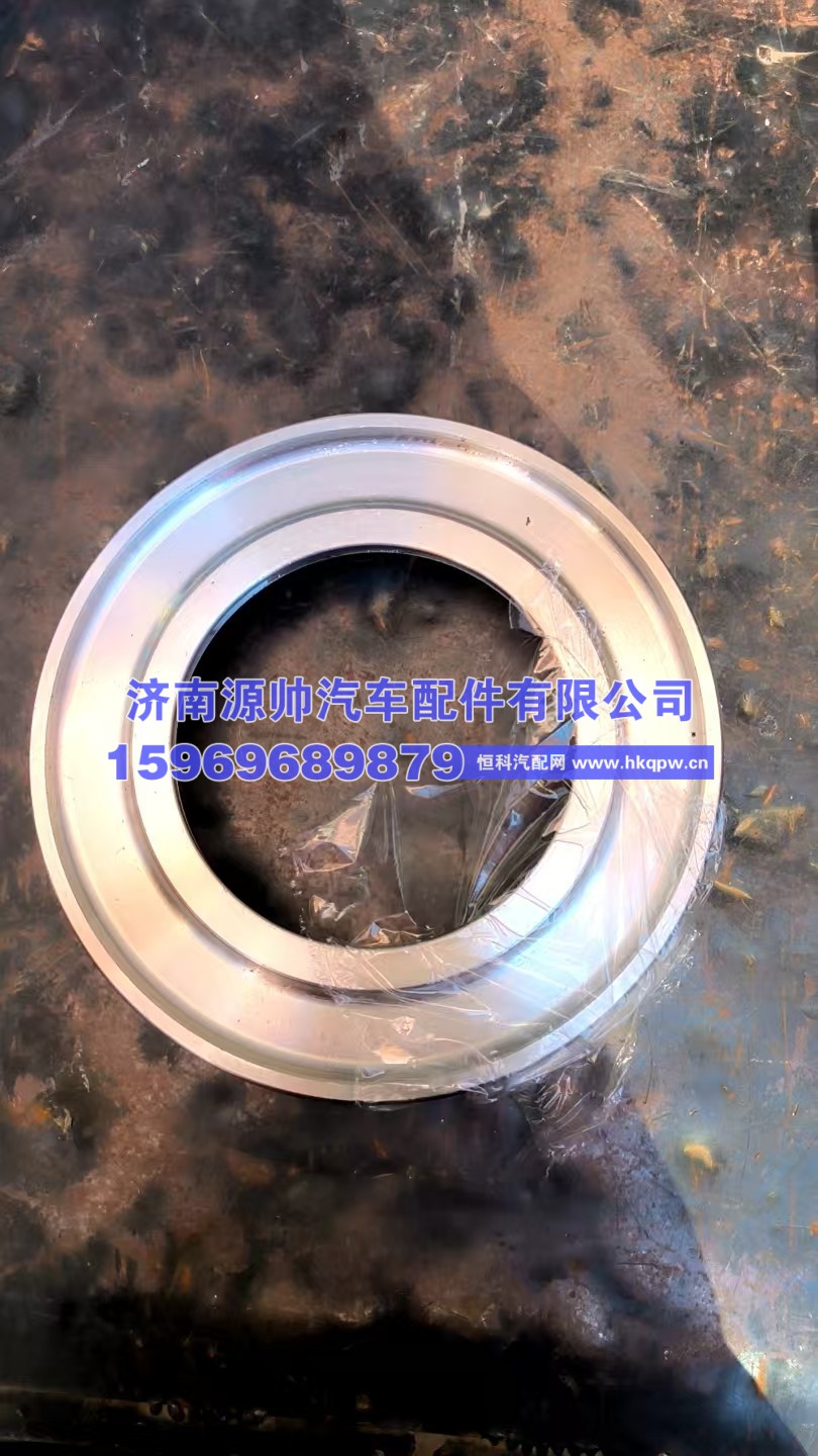 STR后轮油封座圈 199012340019