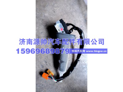 811W25509-0145,T5G组合开关,济南源帅汽车配件有限公司