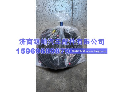 AZ972677701004,重汽底盘线束AZ972677701004,济南源帅汽车配件有限公司
