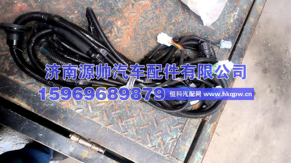 DZ96189772840,德龙车门线速 DZ96189772840,济南源帅汽车配件有限公司