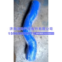 德龙水箱胶管DZ97149535025