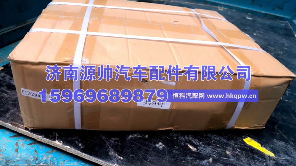 潍柴涨紧轮 612630061185图1