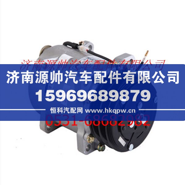 欧曼压缩机总成(涡旋式)/F1B24981215012A0943