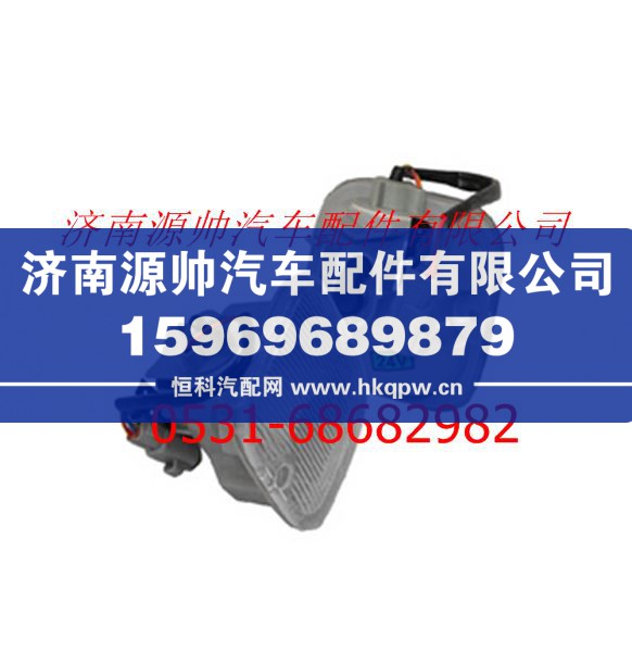 欧曼H2/ETX踏步灯总成/F1B24937100003A1135