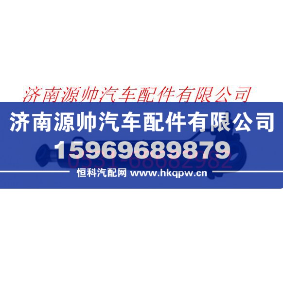 欧曼GTL车身翻转油缸总成/FH4502C02001A0A2099