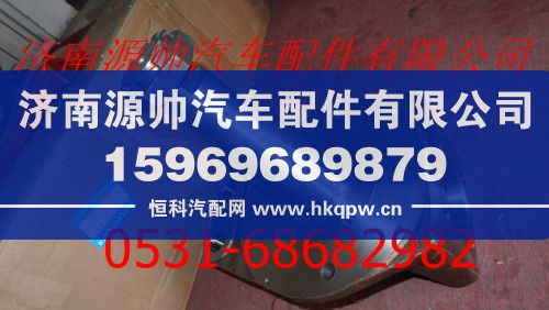 欧曼安凯车桥转向节总成/AK880410028