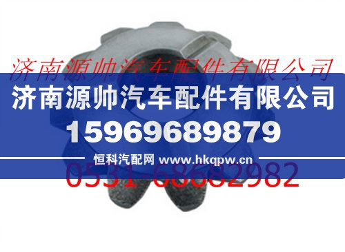 A3463531014,北方奔驰后桥行星轮,济南源帅汽车配件有限公司