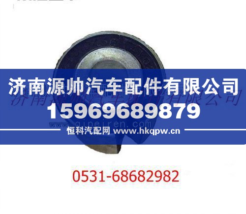 陕汽德龙F3000翻转杠衬套/81.93020.0450