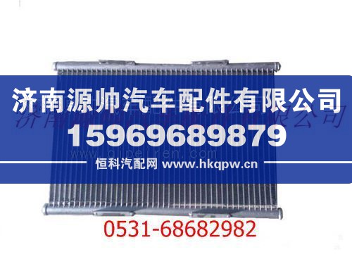 陕汽德龙F3000冷凝器/DZ13241824330