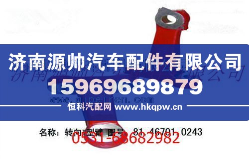 陕汽德龙M3000转向横拉杆臂/81.46701.0243