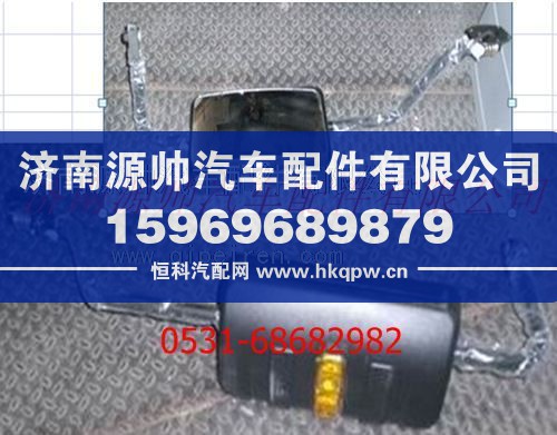 陕汽德龙后视镜总成/DZ13241770050