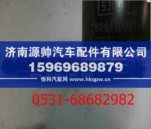 陕汽德龙F3000减振器总成图1